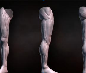 人类腿部雕刻