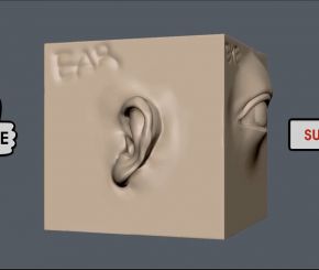 Zbrush Sculpting - 1x Sculpting Nose, Mouth, Eye, Ear