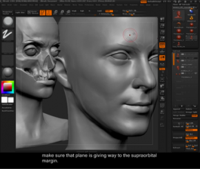 Sculpting the Face with Scan Data
