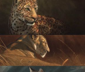 CreatureArtTeacher - Wildlife Painting Bundle - Aaron Blaise