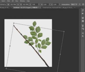 3dsmax树木植物实例制作视频教程