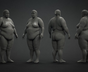 Overweight Female（ZB原始文件）