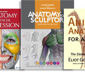 三本解剖书，有关人体和人脸部以及动物