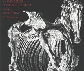 [动物解剖图谱].An.Atlas.of.Animal.Anatomy.for.Artists