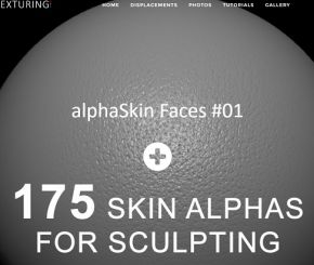 Zbrush-175 Skin Alphas for Sculpting皮肤雕刻贴图素zbrush材