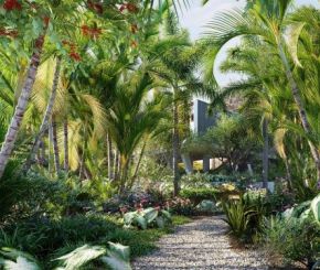 巴西热带植物树木3D模型 Globe Plants – Bundle 32 – Brazilian Home & Garden Plants (3DS MAX格式)