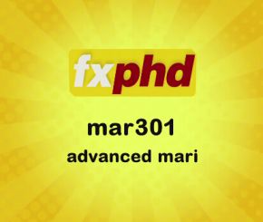 Mari_301_Advanced