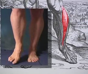 一套实用的艺用人体解剖视频