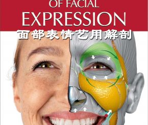 面部表情艺用解剖中文版！