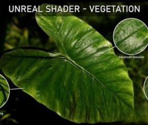 UE5植物材质制作教程 Artstation – Unreal Shader – Vegetation