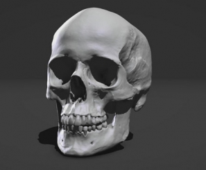 Skull Sketcher1.0