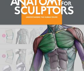人体结构教程anatomy for sculptors