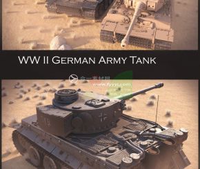 德军虎式坦克WW II German Tank