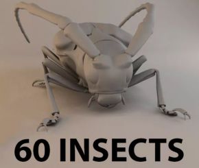 甲虫模型-Insects and Beetles Pack
