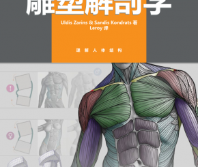 雕塑解剖学（无水印全231页）