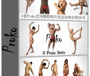 8套高清PROKO欧美艺用模特动态动作结构参考人体素材美术素材