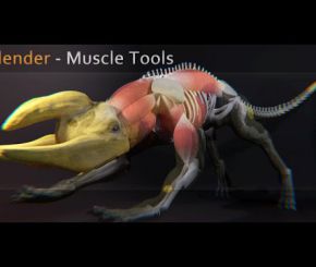 Blender肌肉插件Muscle Tools  v1.5 For Blender2.8
