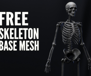 免费人体骨骼模型