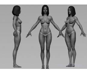 女性角色标准姿势拓扑3D模型素材
