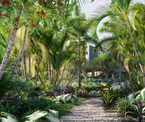 巴西庭院花园植物树木3D模型 
