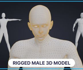 Free Rigged Male 3D Model Basemesh