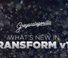 GSG灰猩猩C4D变形插件 GreyscaleGorilla Transform 