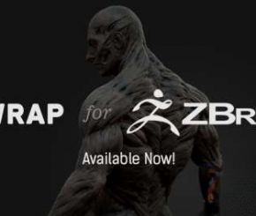 ZBrush模型拓扑插件 R3DS ZWrap V2023.10.3 Win和谐版