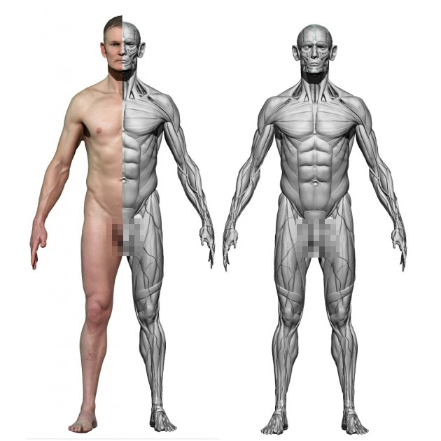 【3D模型】人物全身彩色扫描模型--男.jpg
