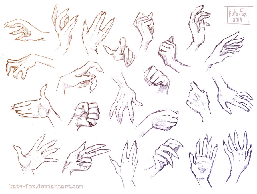 Hands study 01.jpg