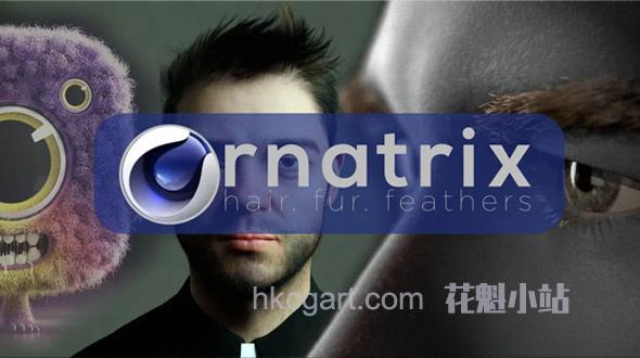Ornatrix-for-Cinema-4D_副本.jpg